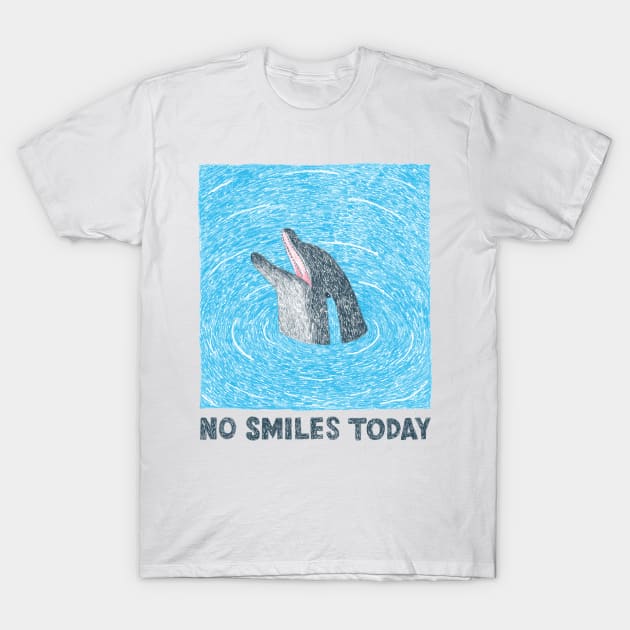 No Smiles Today T-Shirt by martinascott